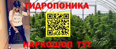 mdpv Будённовск