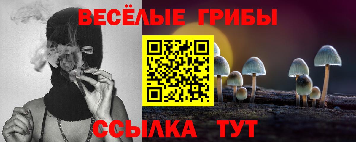 Маркс  Псилоцибиновые грибы мицелий  Вход с VPN  Псилоцибиновые грибы Psilocybe 