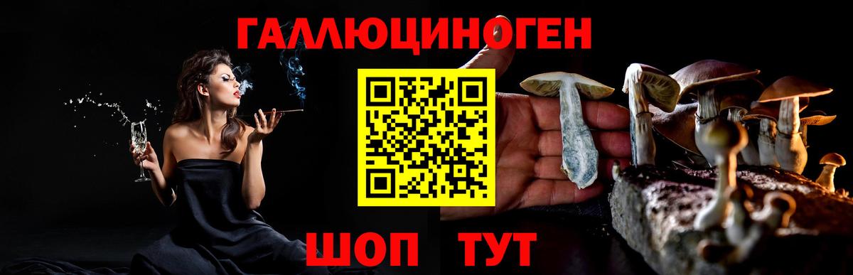 Галлюциногенные грибы Cubensis Маркс
